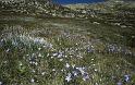 RWT 0060 065-17 Australia Mt Kosciusko